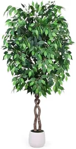 6FT Artificial Ficus Tree with White Planter