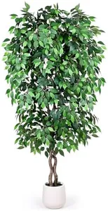 7FT Artificial Ficus Tree with White Planter